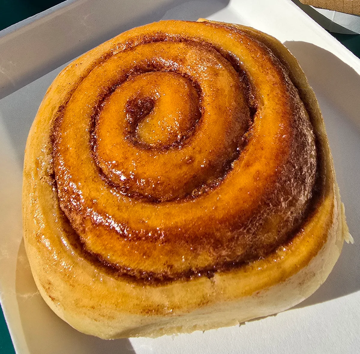 Cinnamon Roll