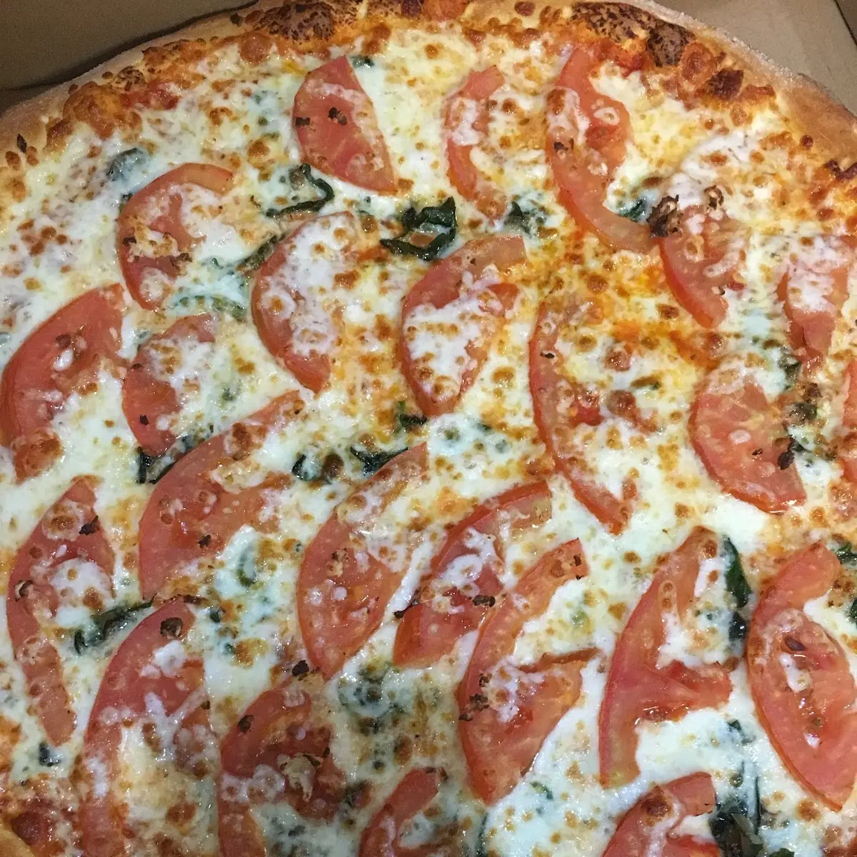 Margherita Pizza