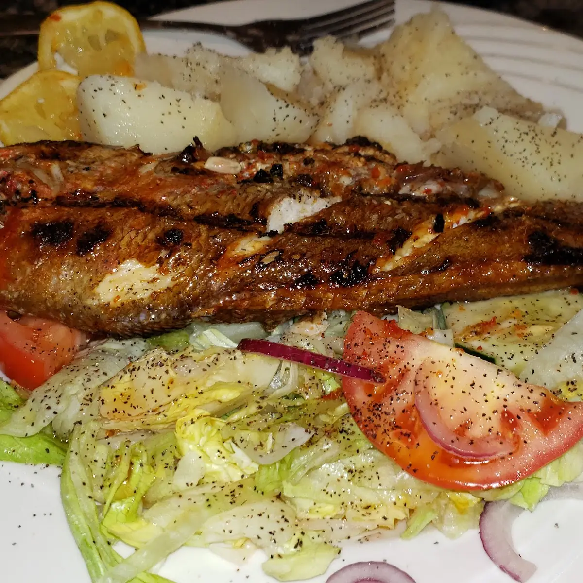 Red Snapper