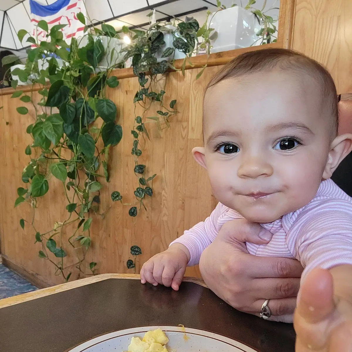 Scrambled Eggs