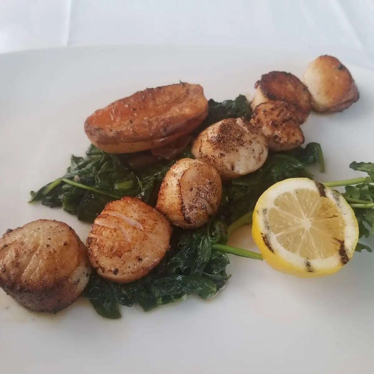 Day Boat Scallops