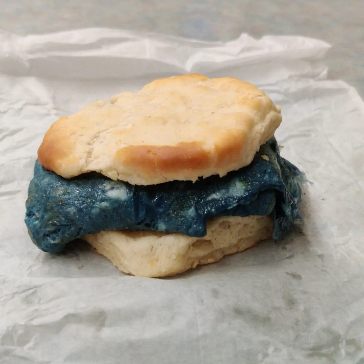 Randall's Blue Egg Biscuit