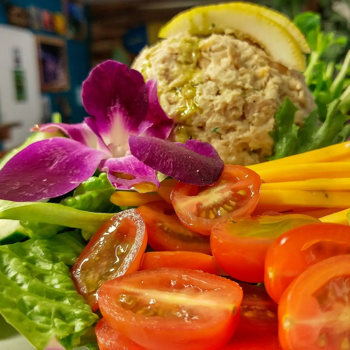 Tuna Salad