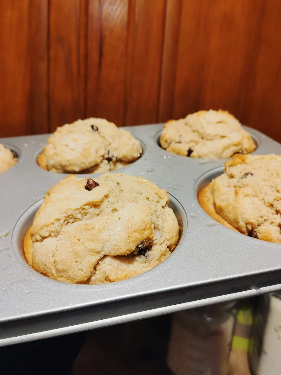 Chocolate Chip Muffin
