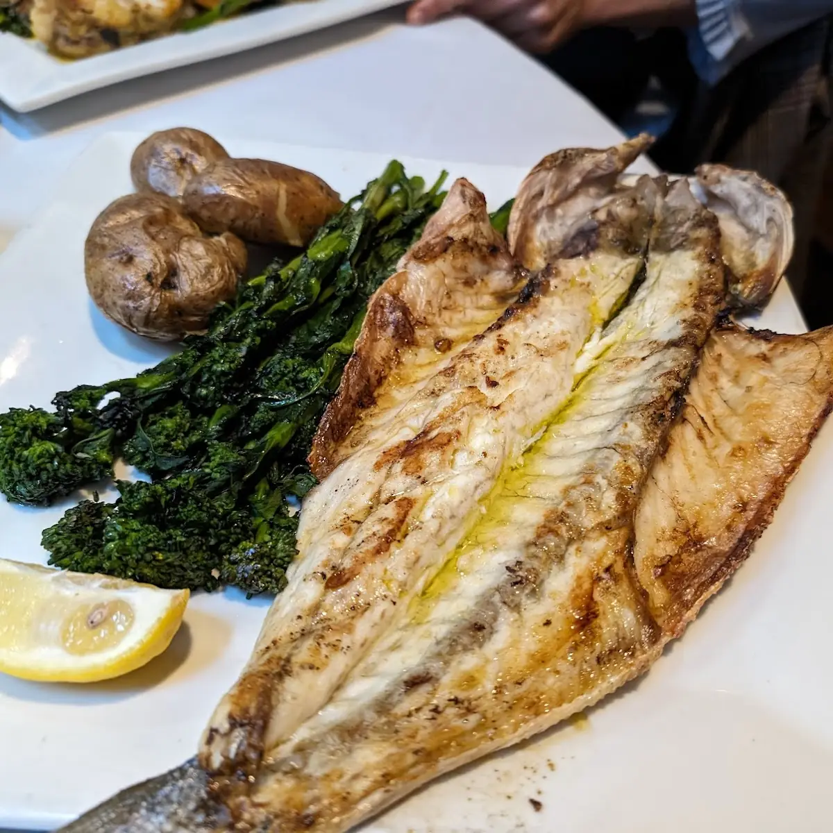 Sea Bass