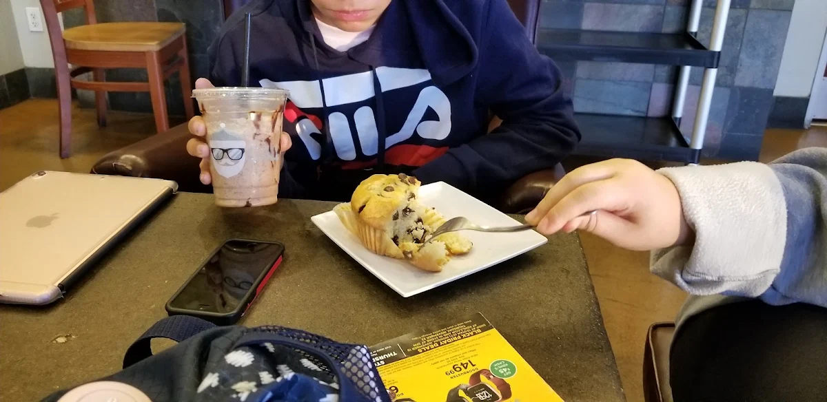 Chocolate Chip Muffin