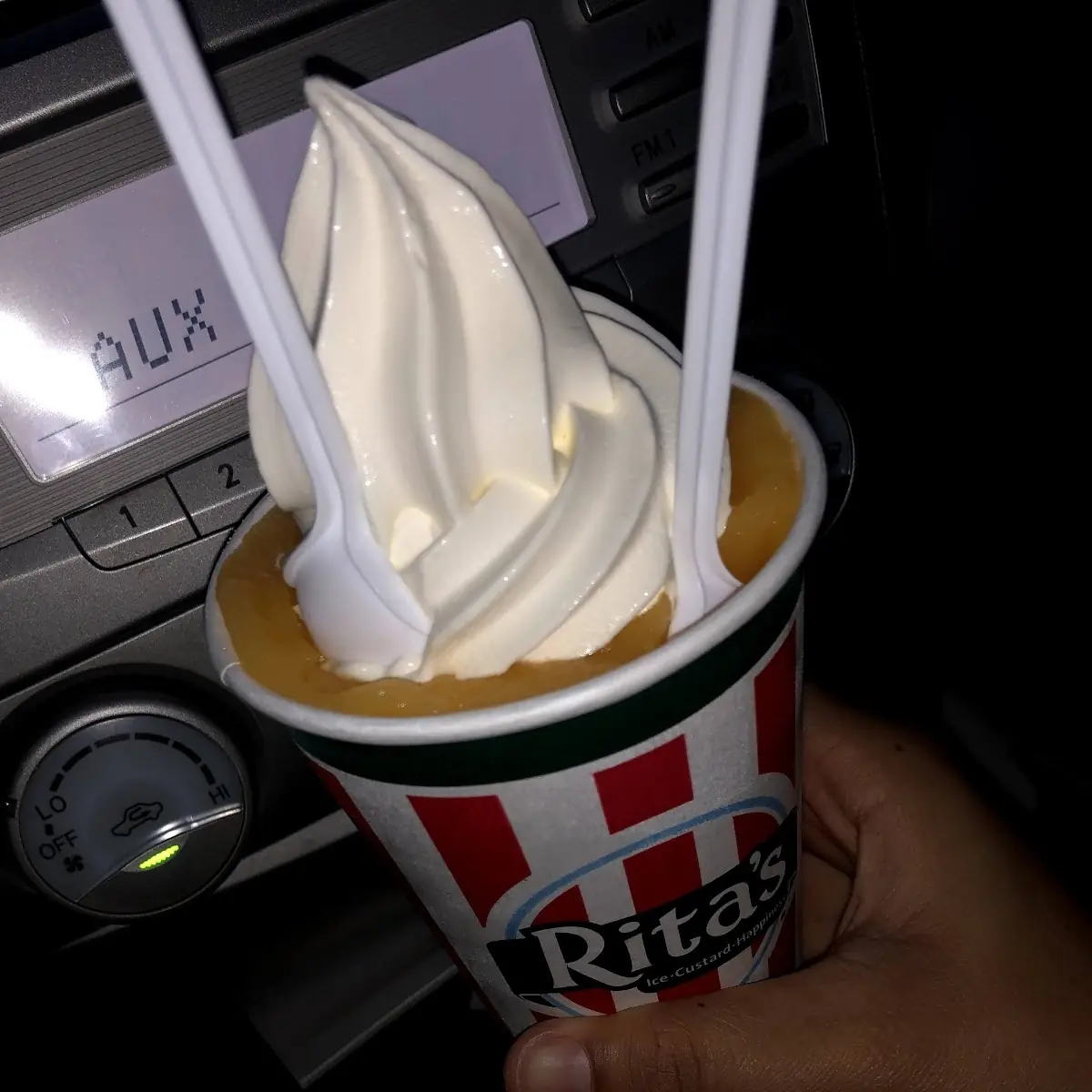 Vanilla Custard