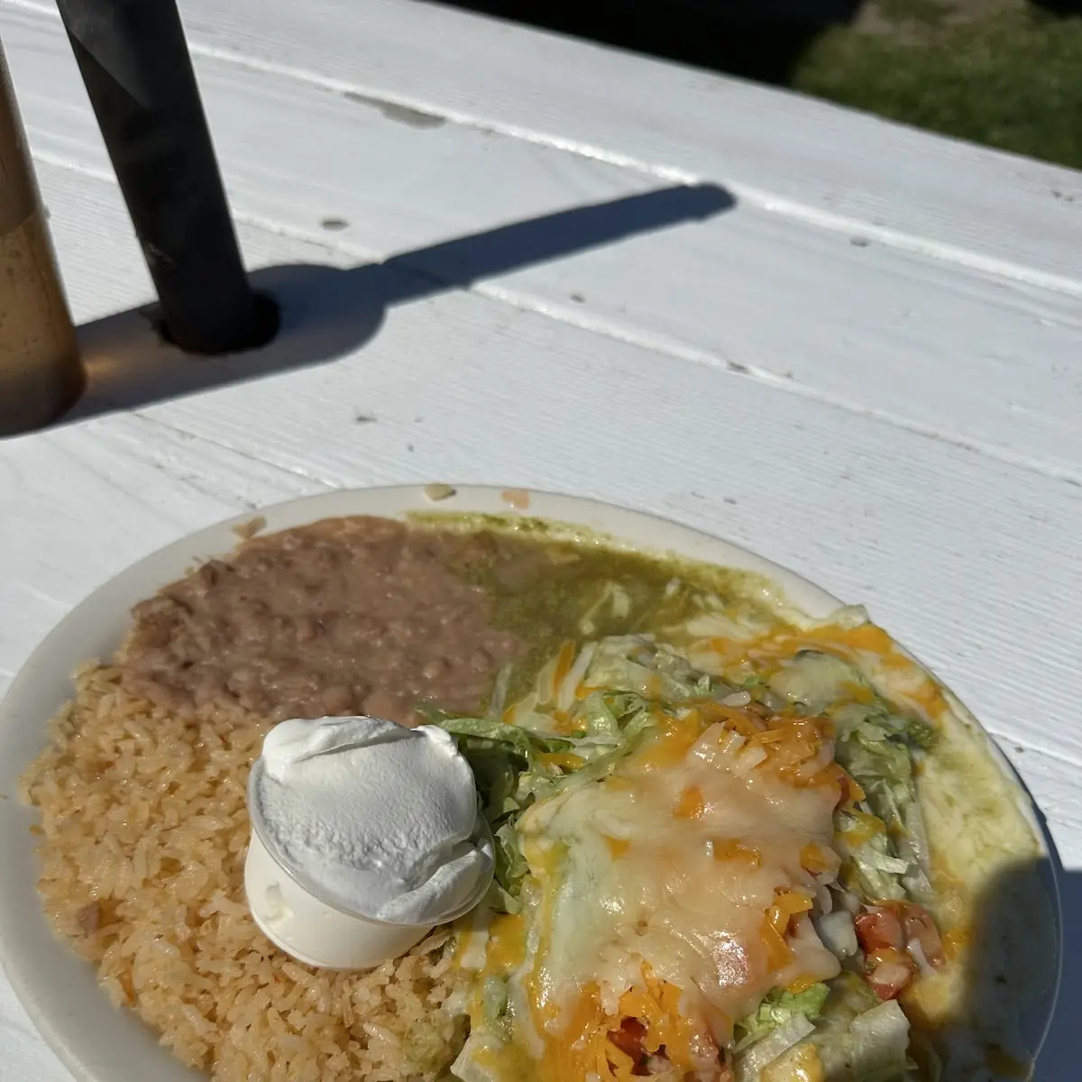 Chicken Enchiladas w Rice and Beans