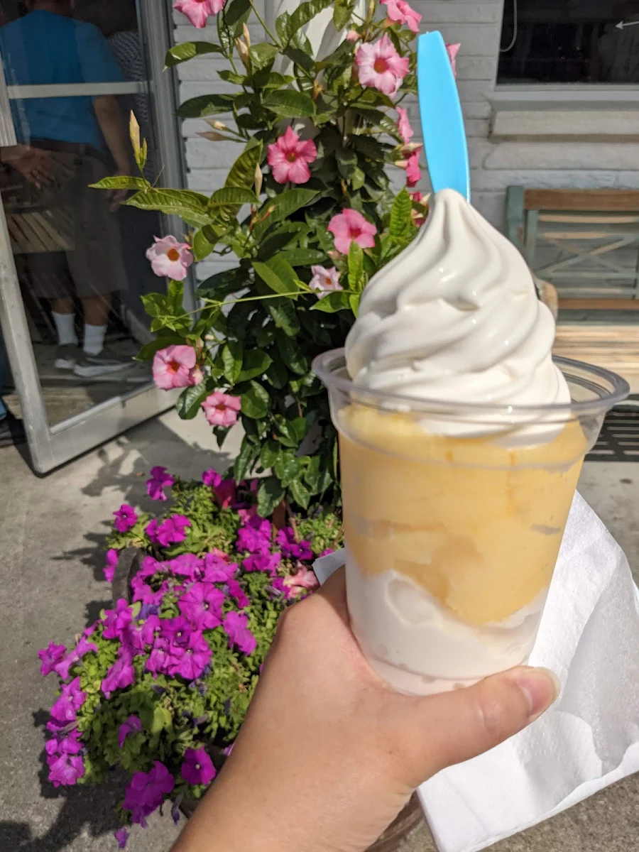 Pina Colada Gelati