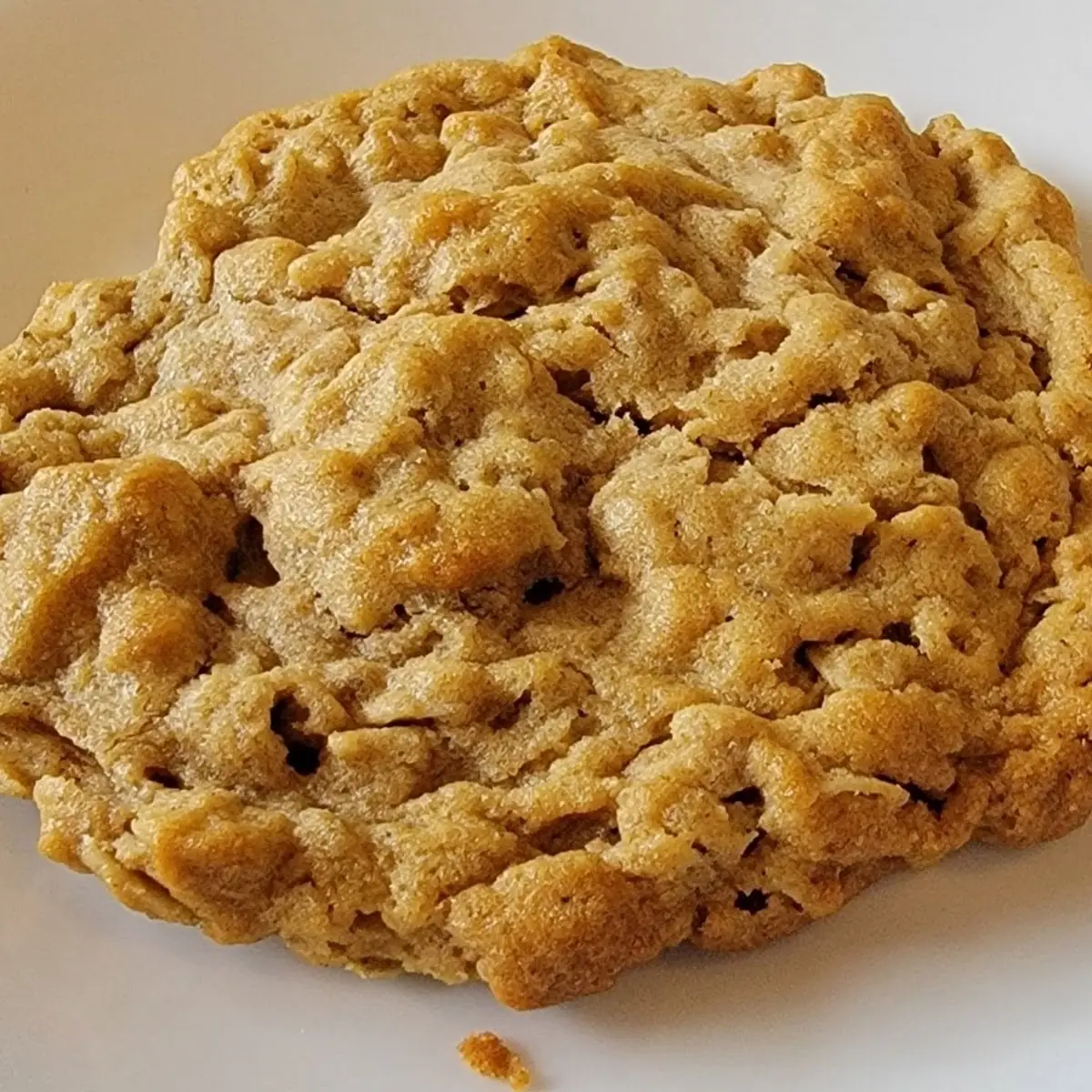 Peanut Butter Cookie