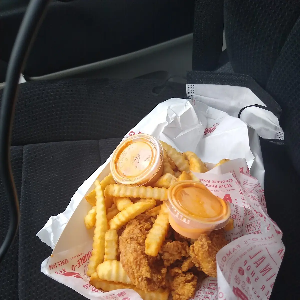 Chicken Tenders and Fries