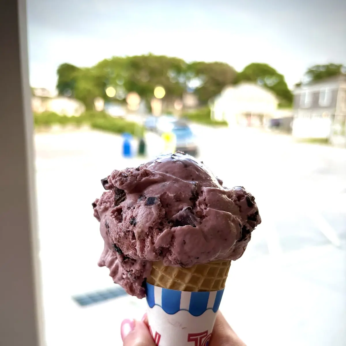 Black Cherry Chocolate Chunk