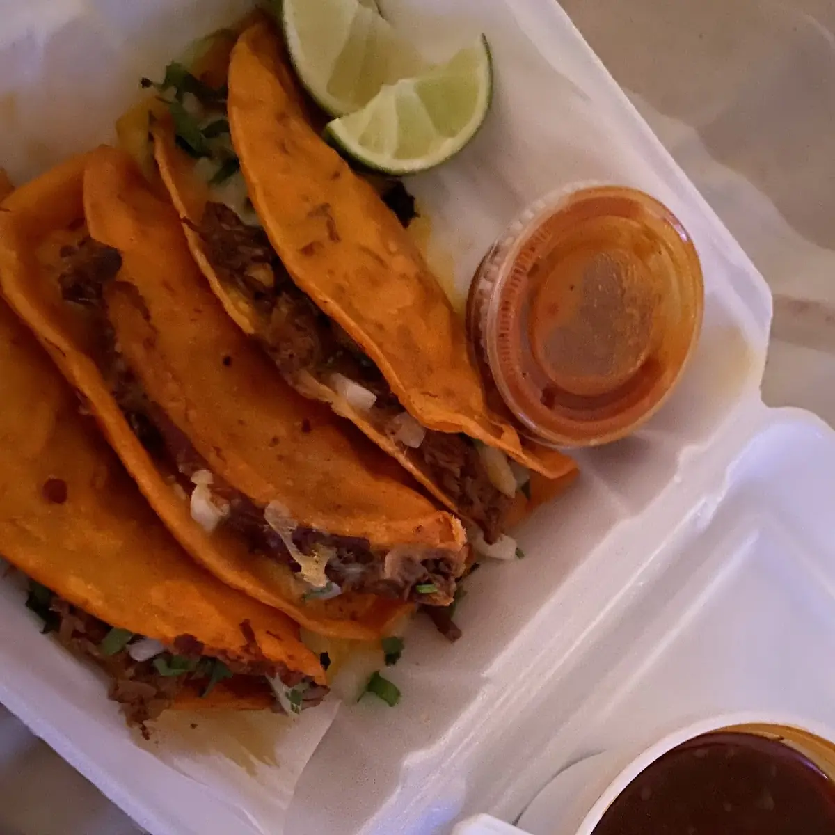 Birria Tacos Weekends