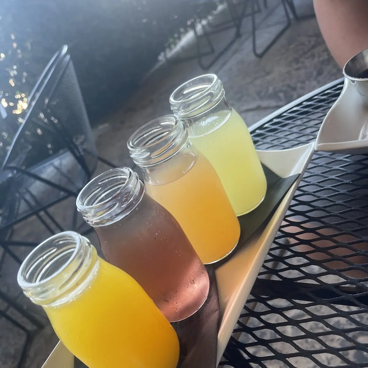 Mimosa Flights