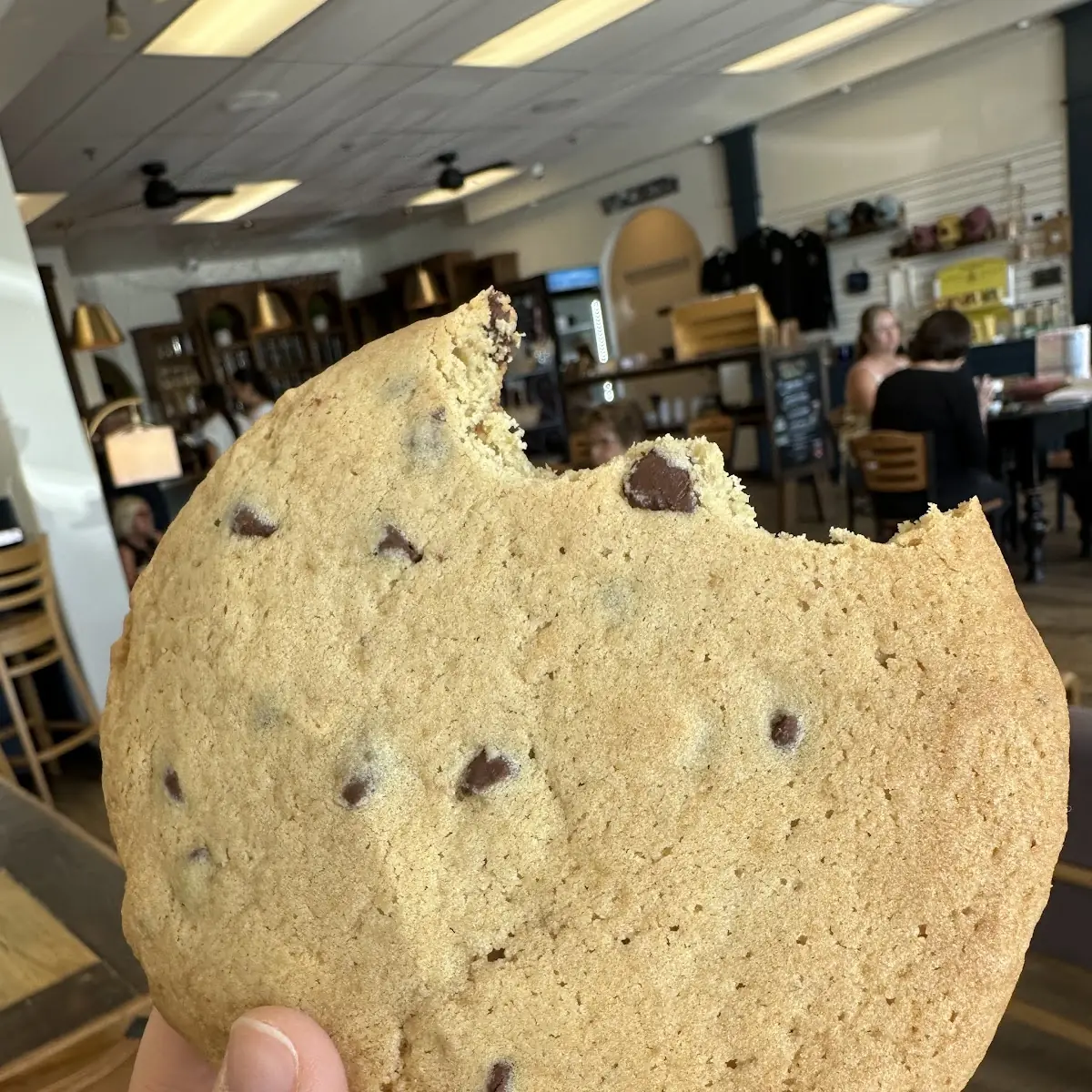 Chocolate Chip