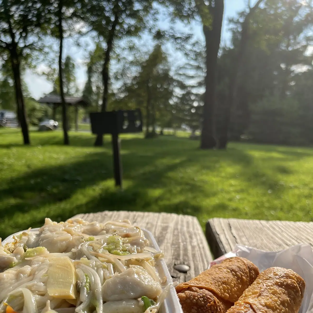 Chicken Chow Mein & Egg Rolls