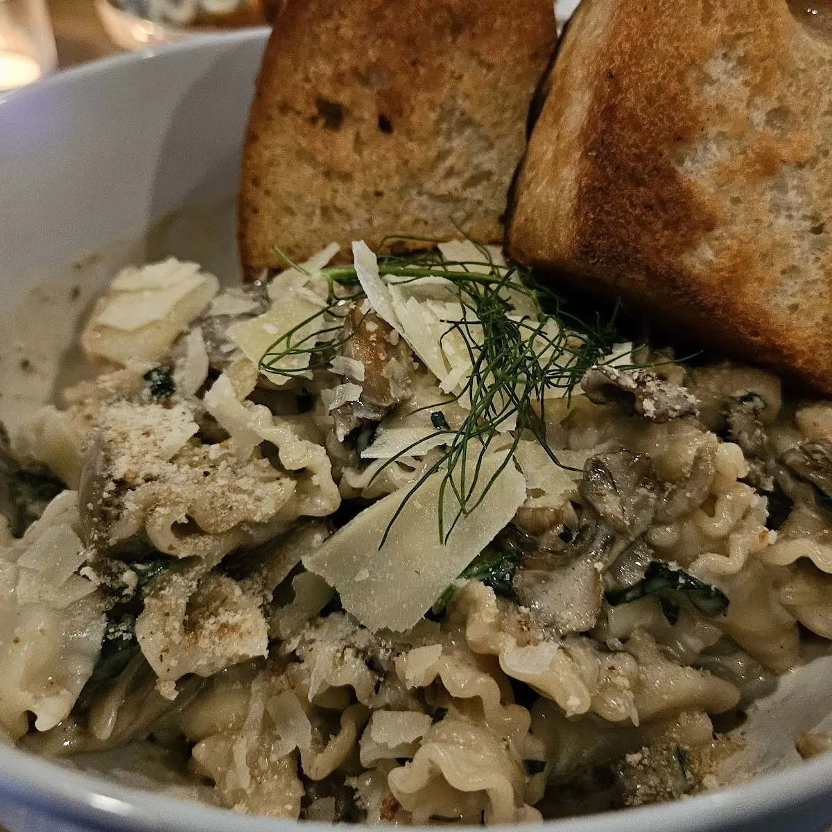 Truffle Mushroom Pasta