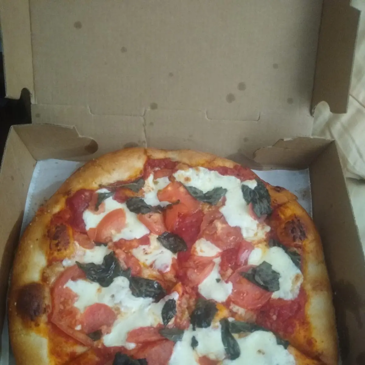 Margherita Pizza