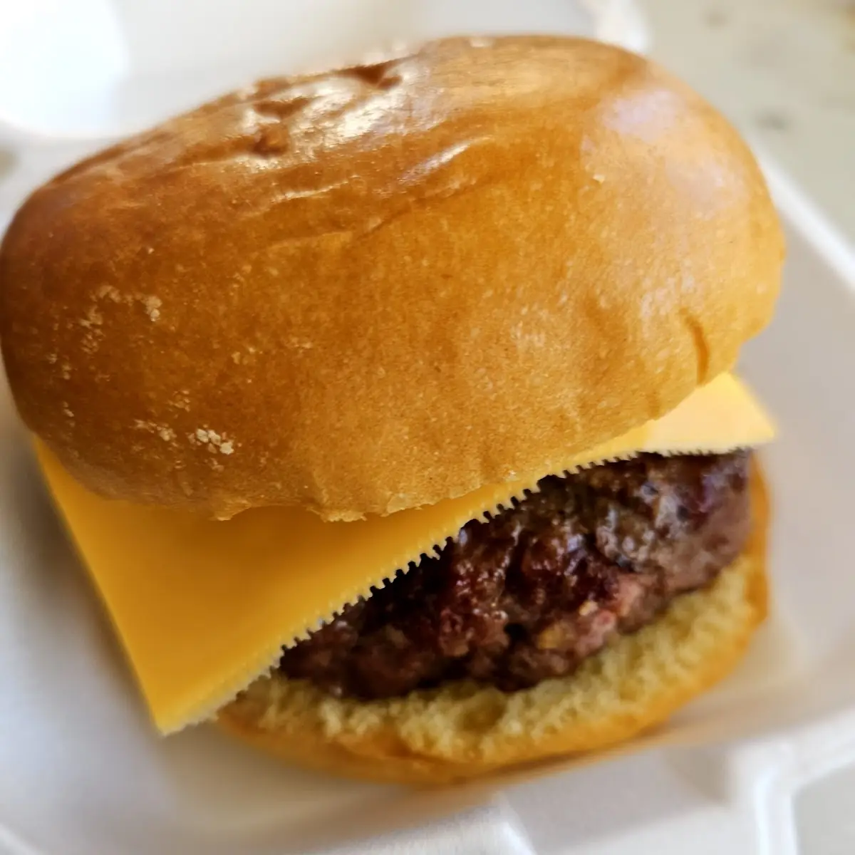 Cheese Burger