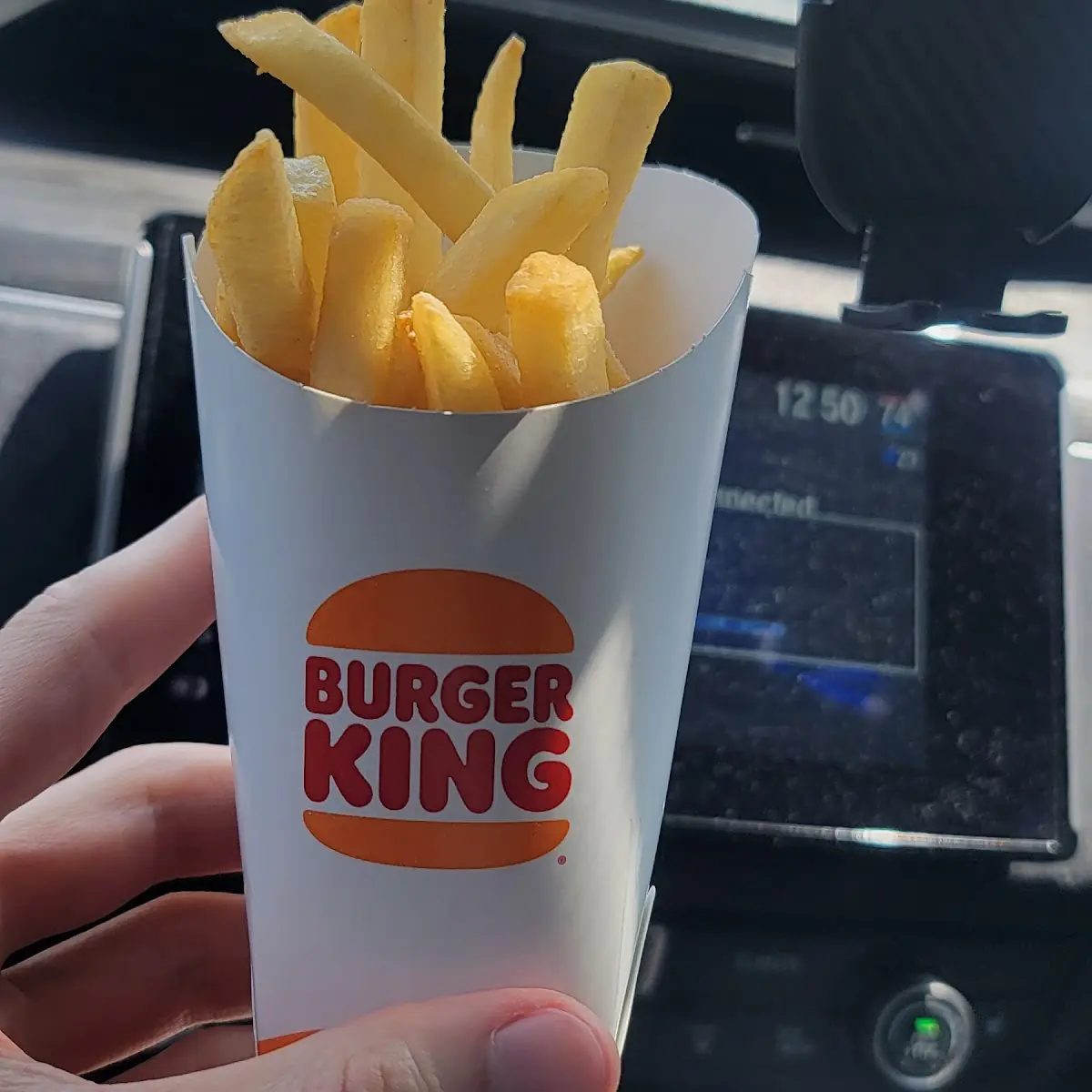 Medium Fries