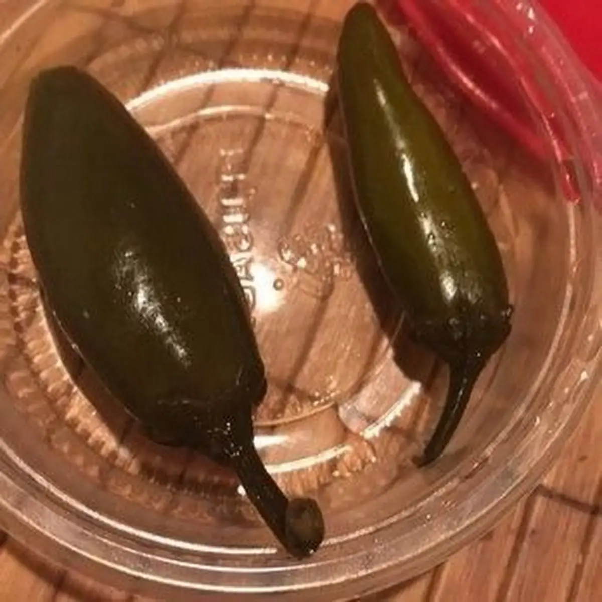 Jalapeno Peppers