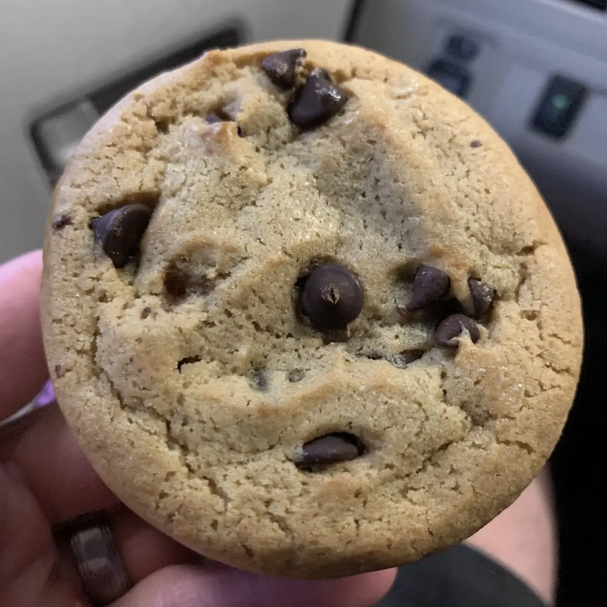 Chocolate Chip Cookie Ice Cream Sandwich