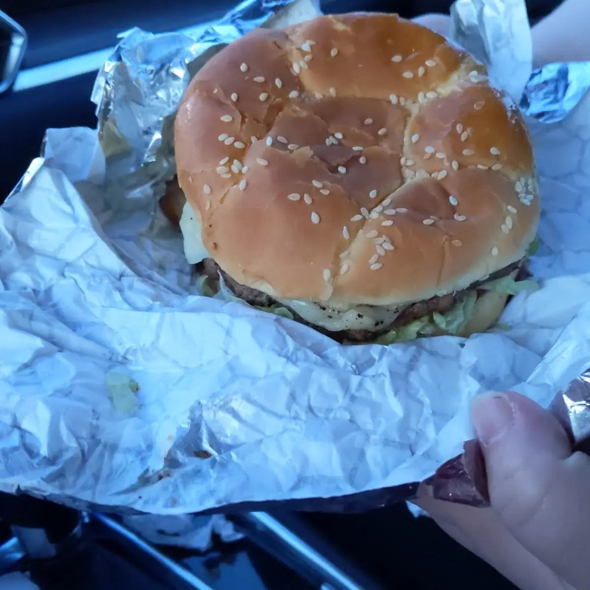 Mushroom Burger