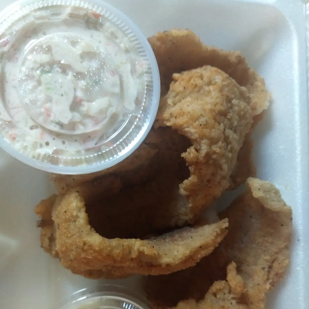 Fish Fry with Coleslaw