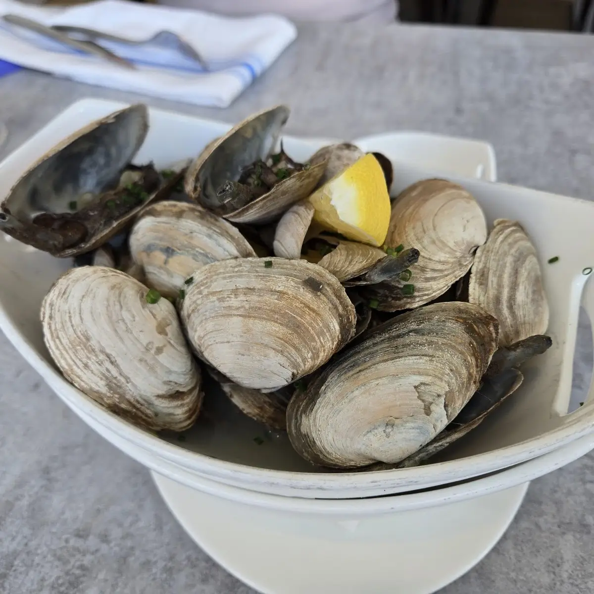 Steamed Clams
