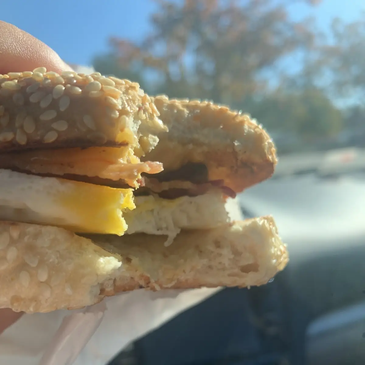 Bacon Egg and Cheese on a Sesame Bagel