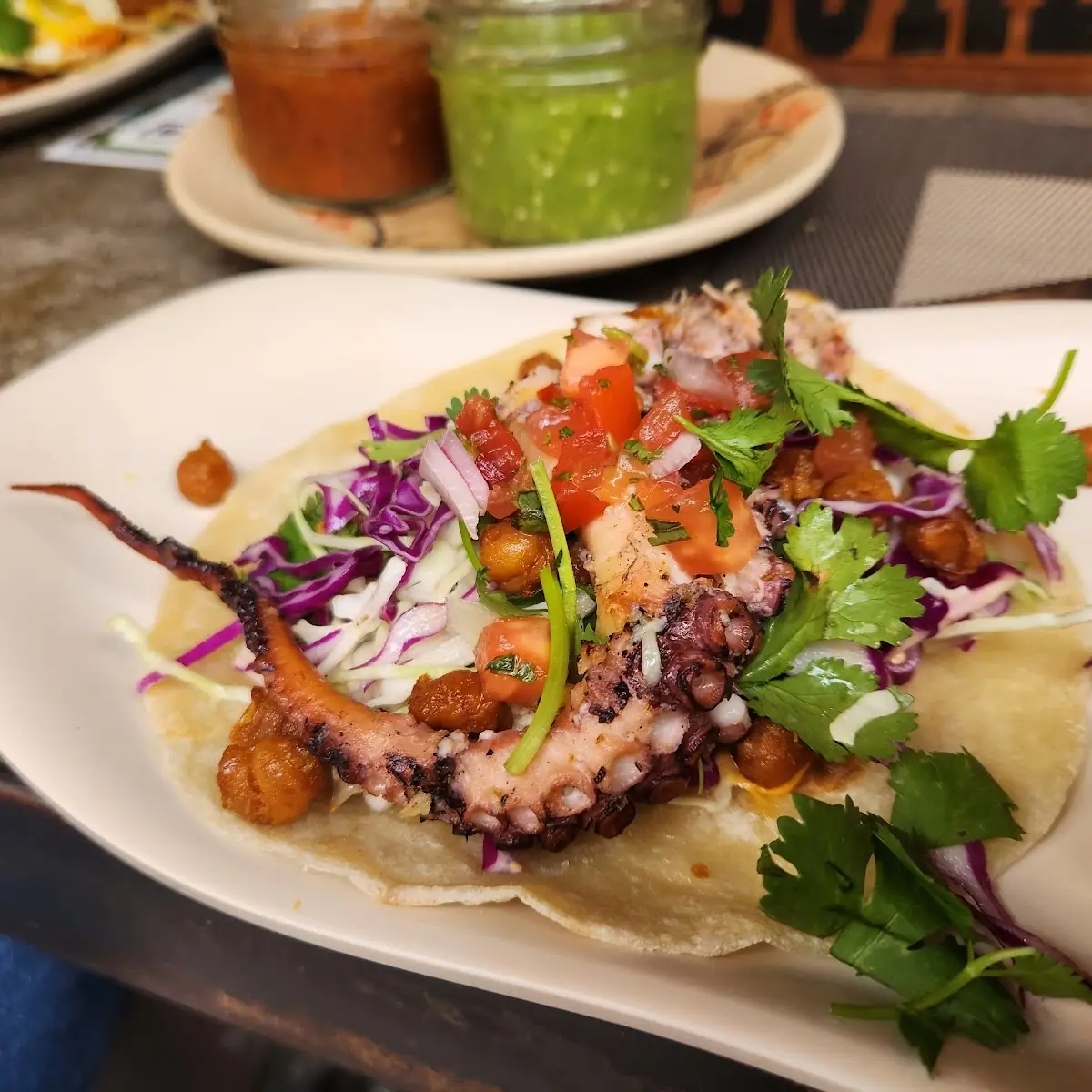 Octopus Tako