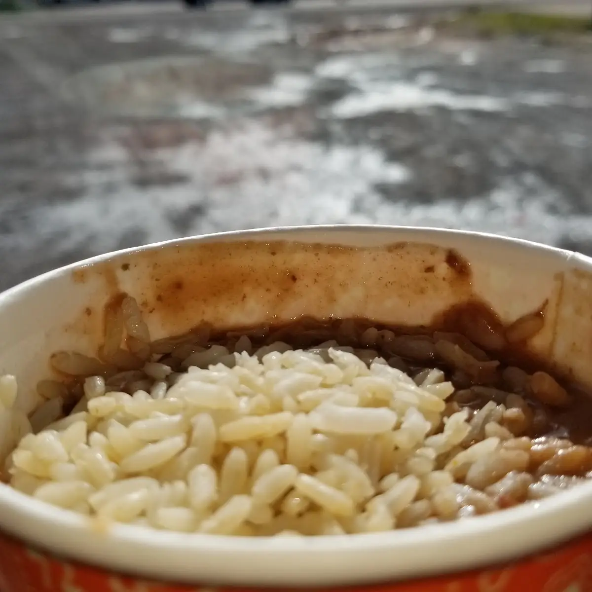 Brown Rice