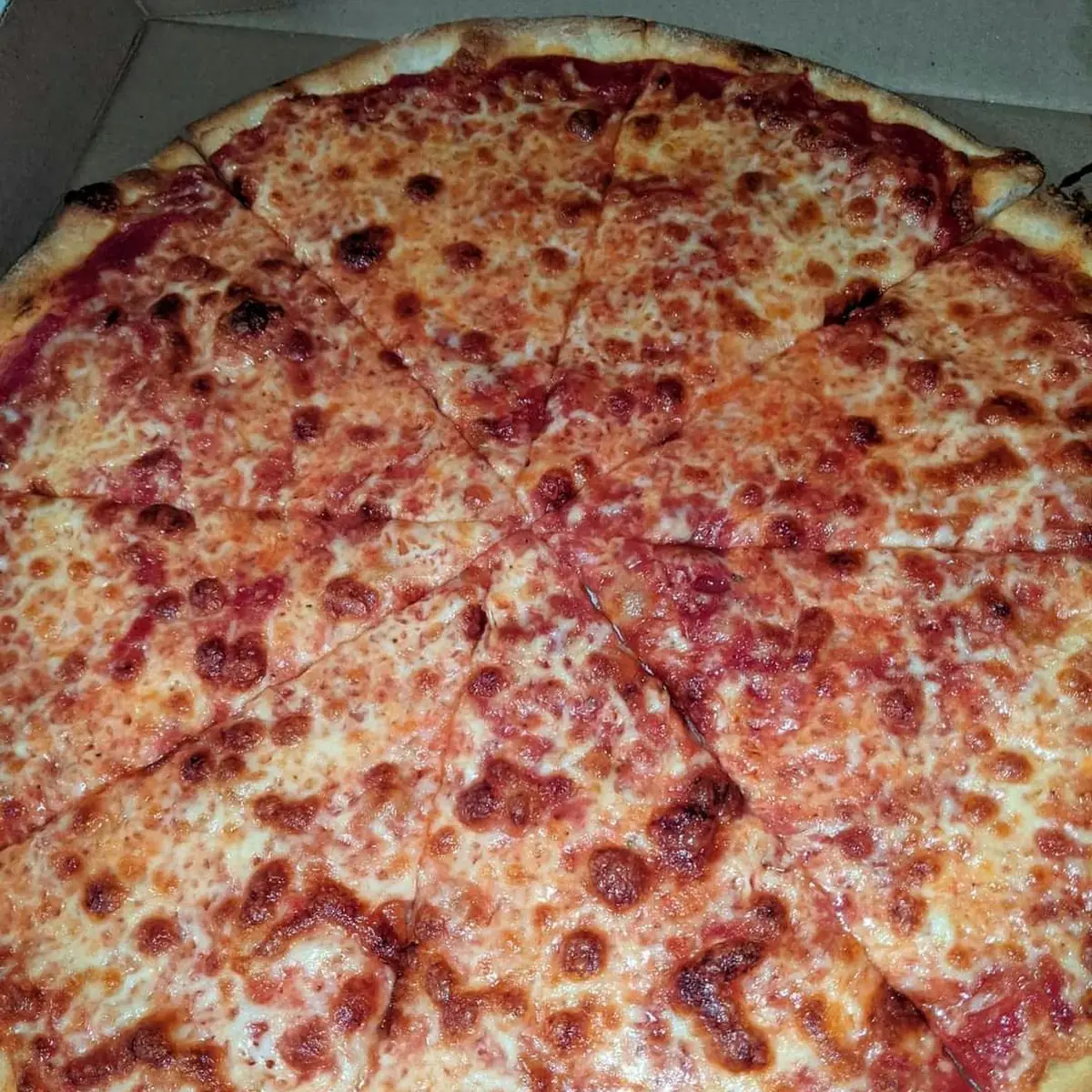 Plain Pizza