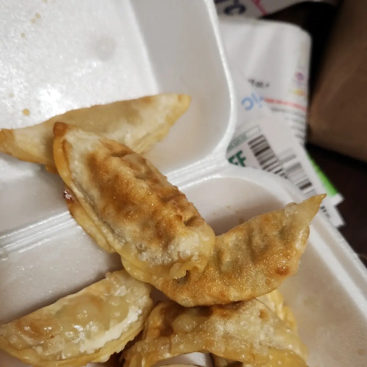 Fried Dumplings