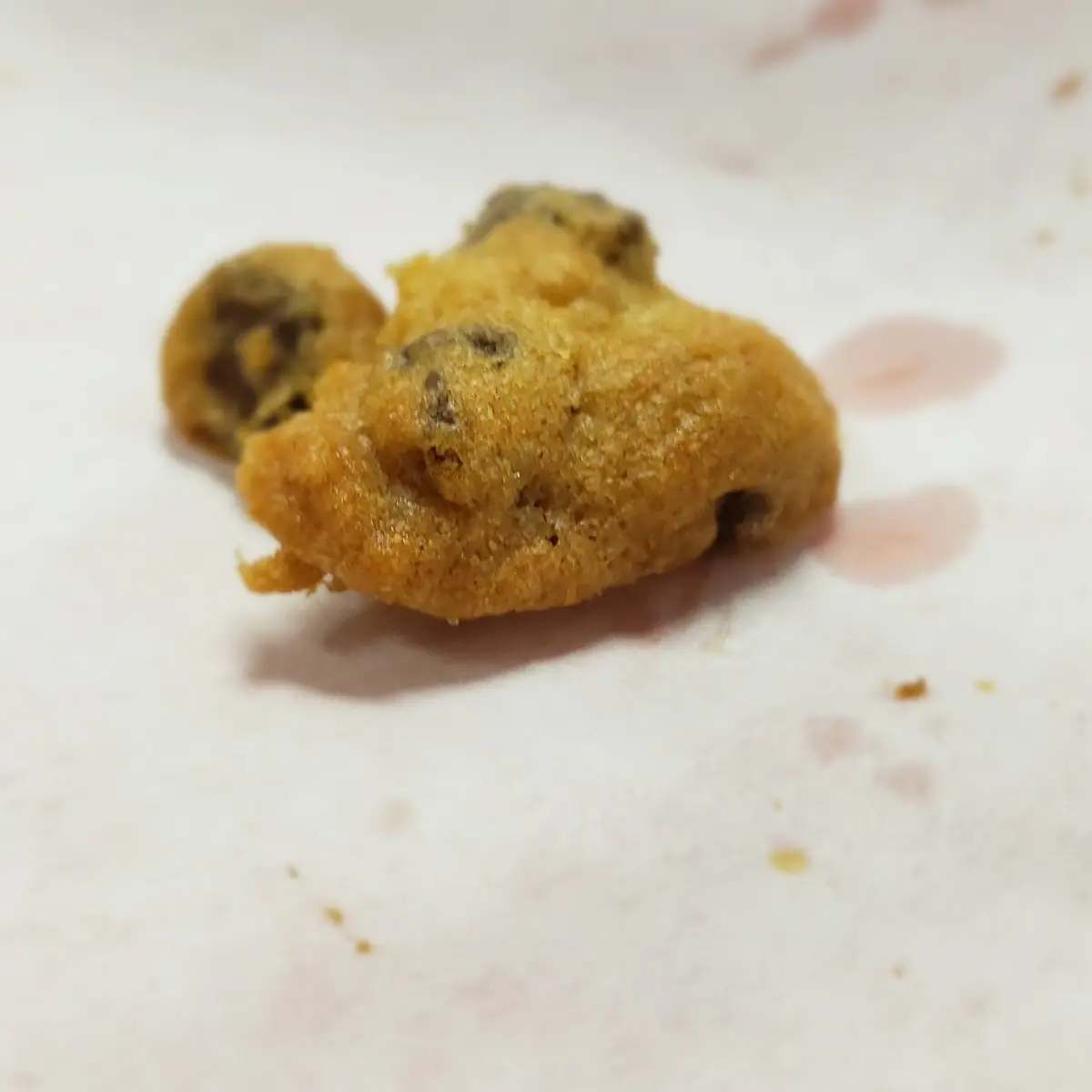 Chocolate Chip Cookie