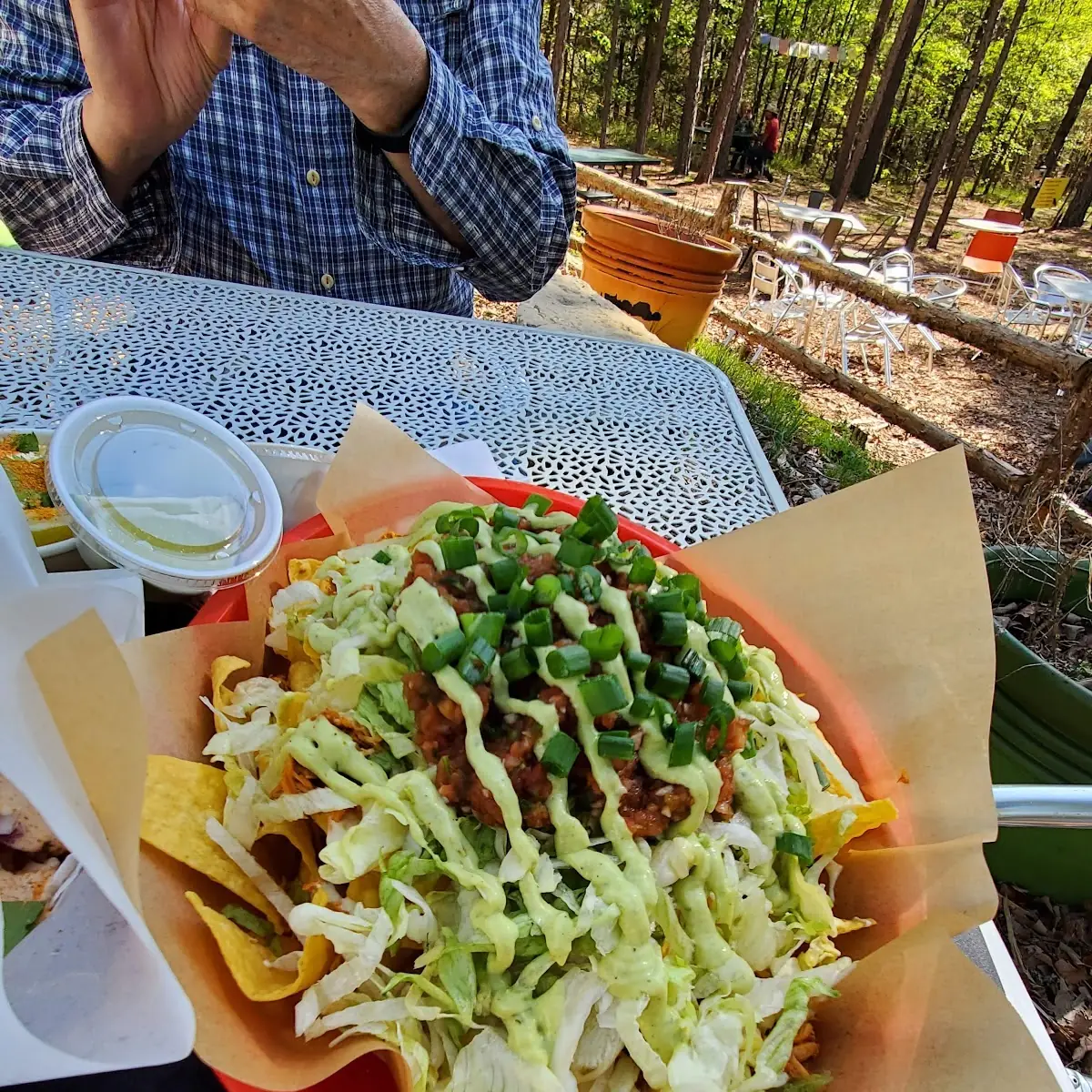 Chicken Nachos