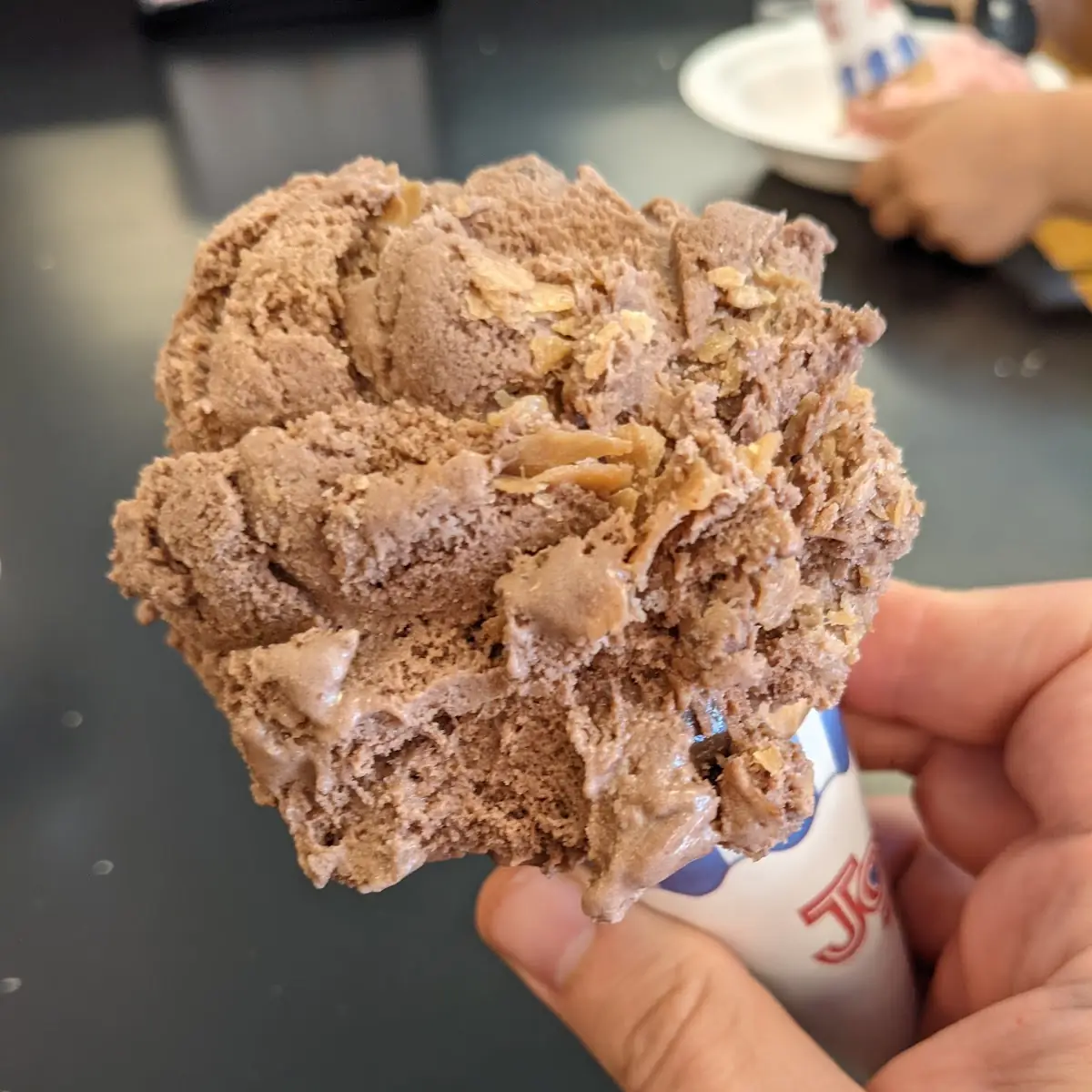 Chocolate Peanut Butter Ice Cream