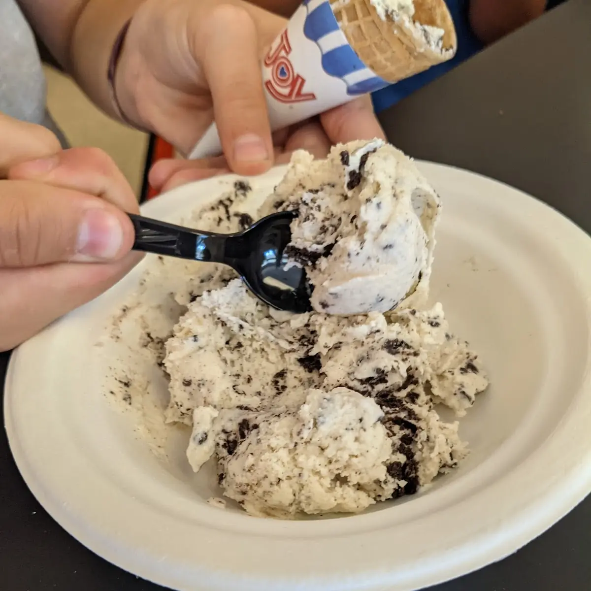 Cookies & Cream Ice Cream