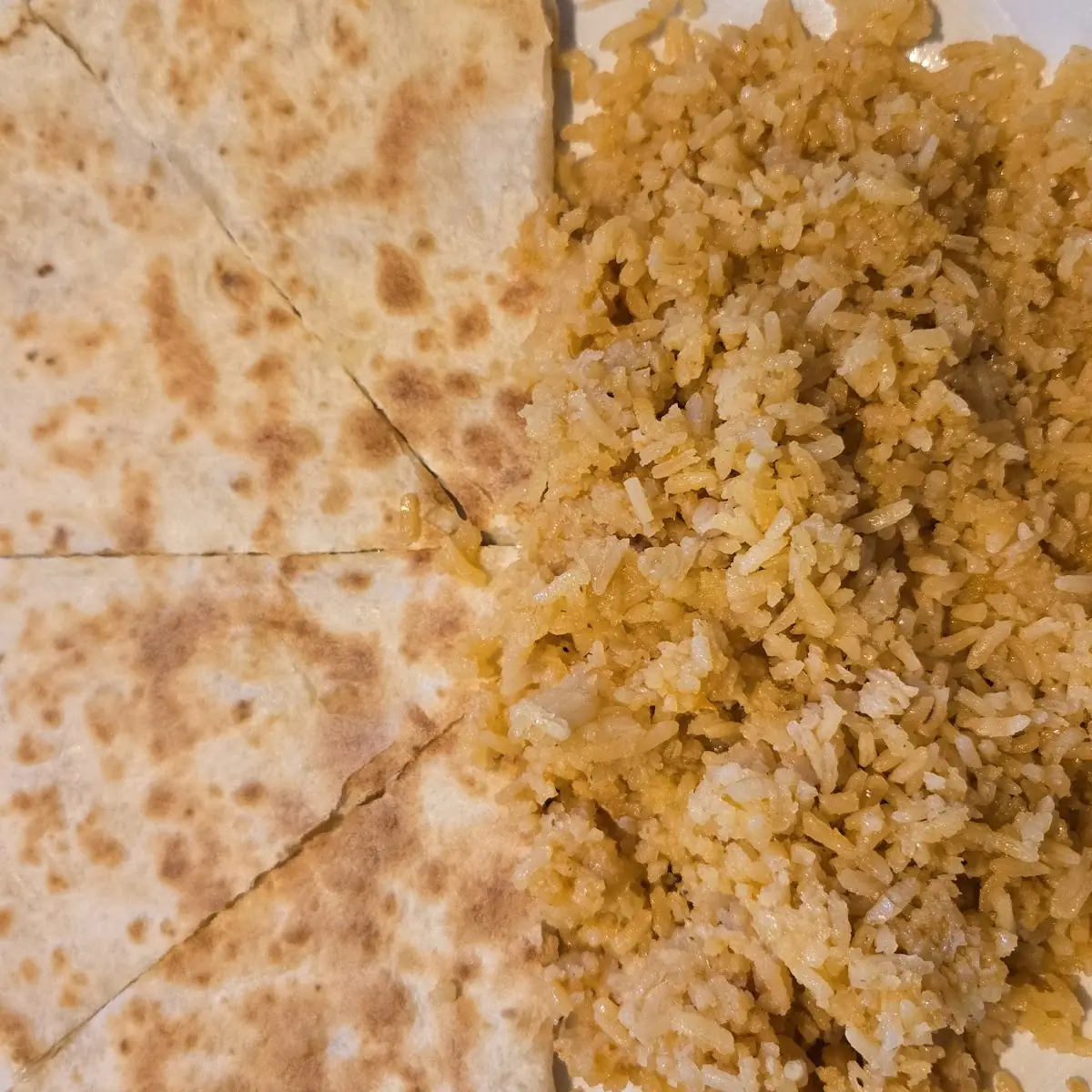Cheese Quesadilla