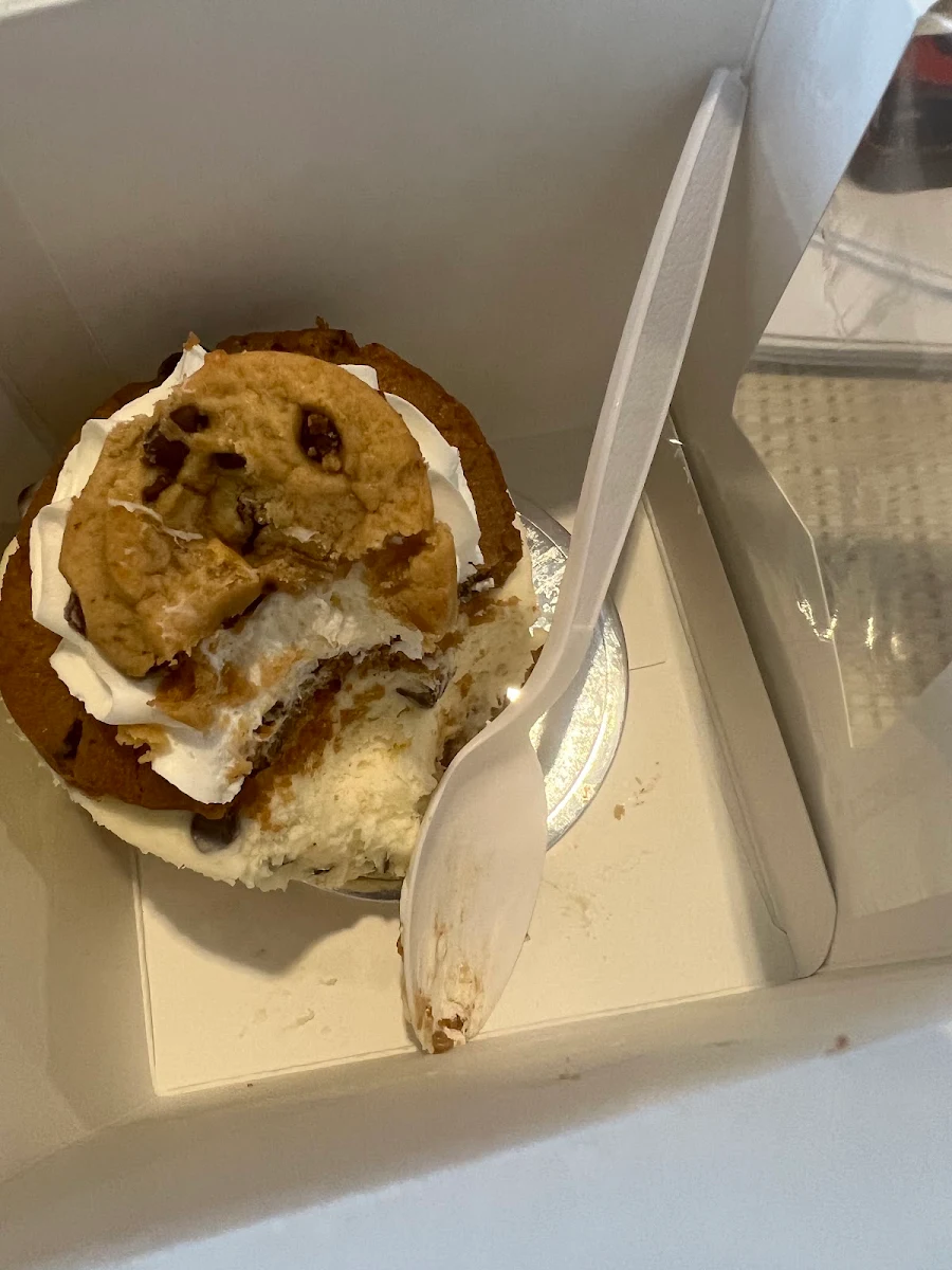 Ice Cream Sandwich