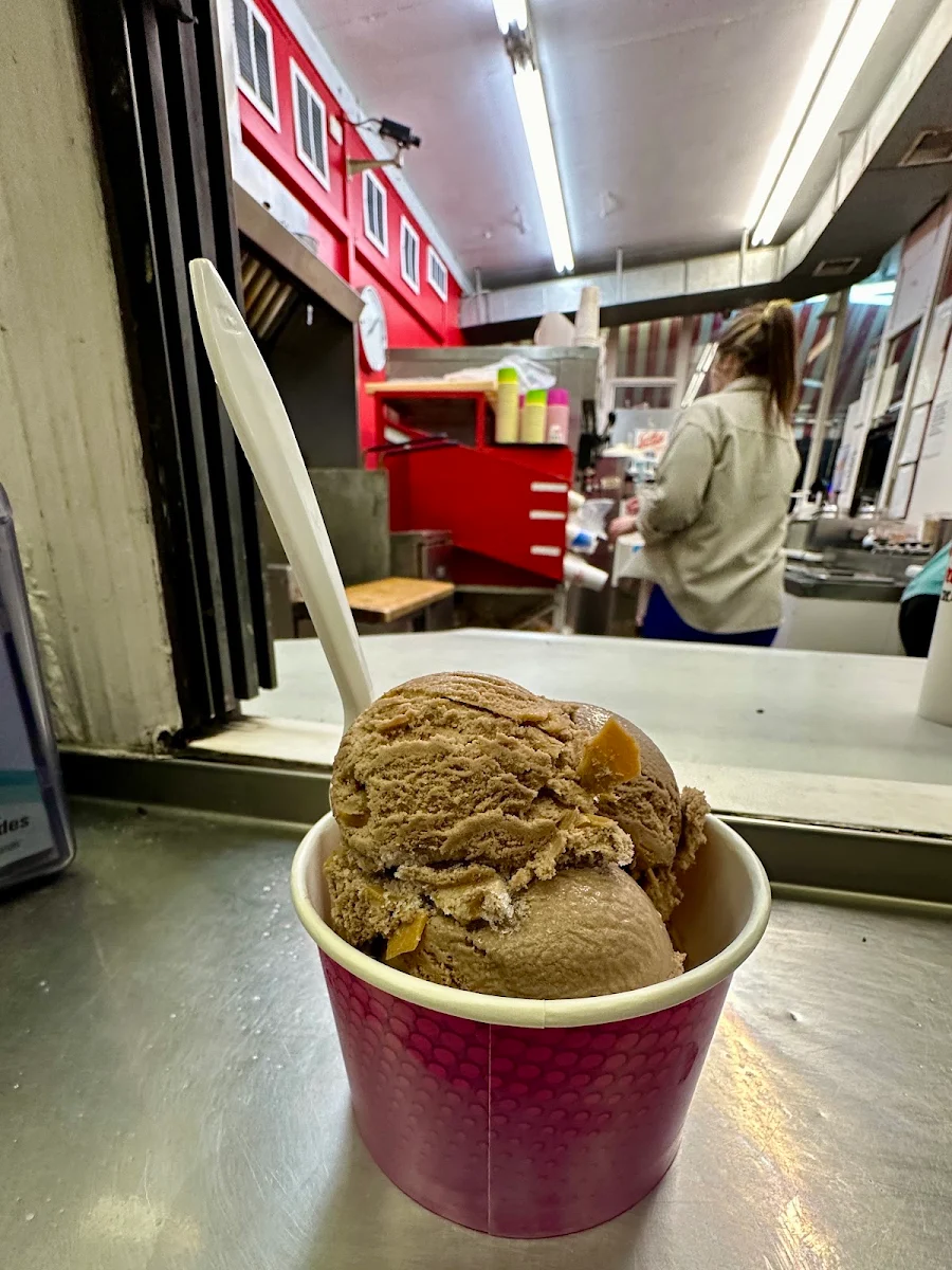 Chocolate Peanut Butter Ice Cream