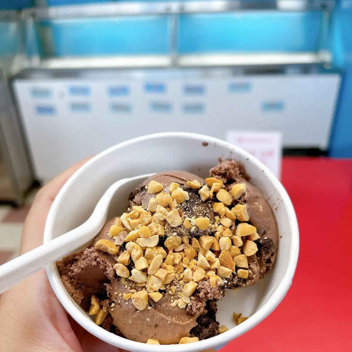 Chocolate Ice Cream