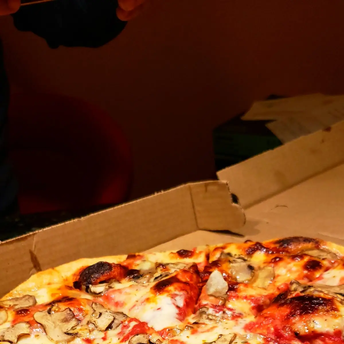 Mushroom Pizza
