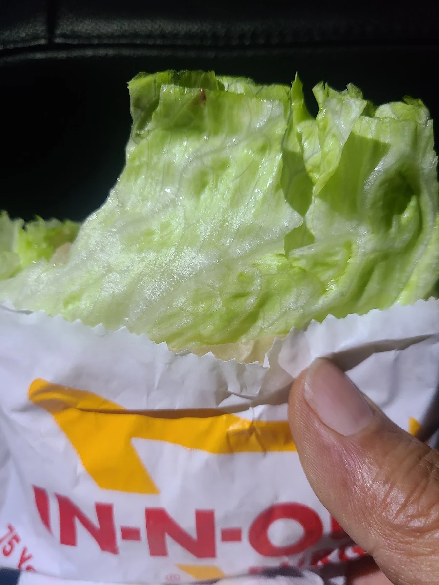 Iceberg Lettuce