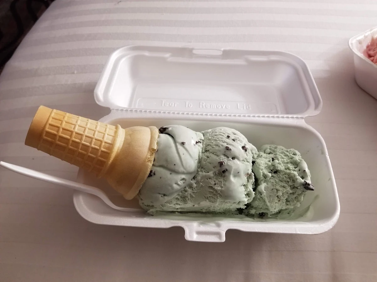 Mint Chocolate Chip Cone