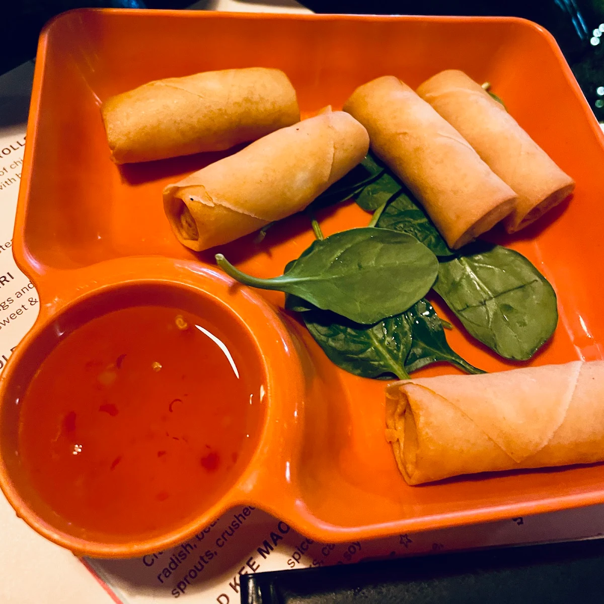 Vegetable Spring Rolls