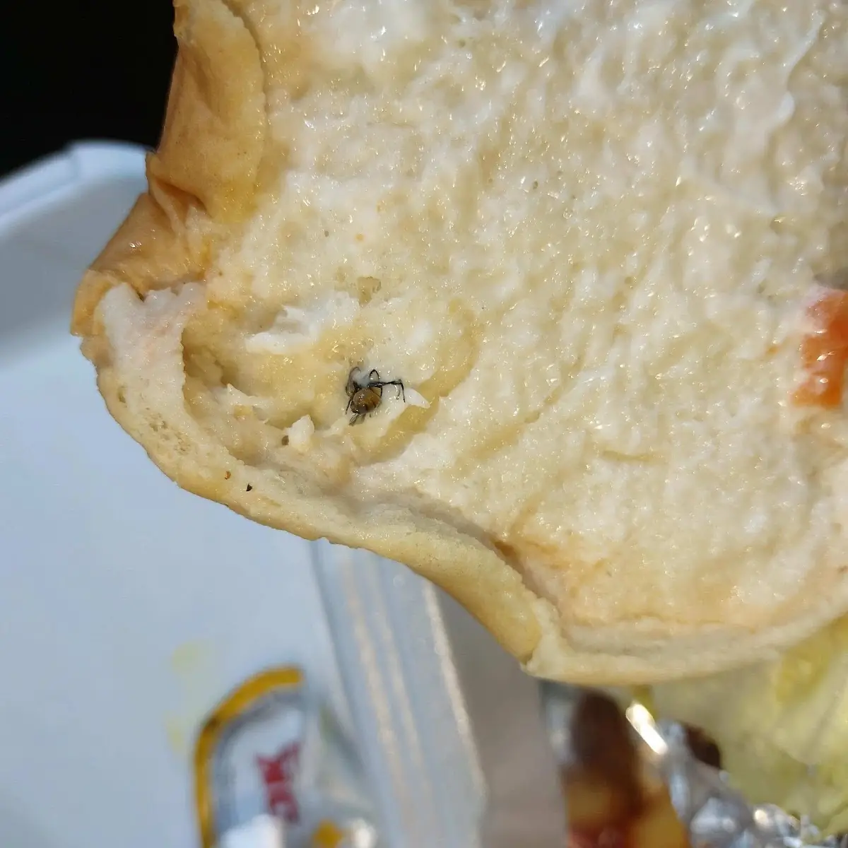 Pot Pie