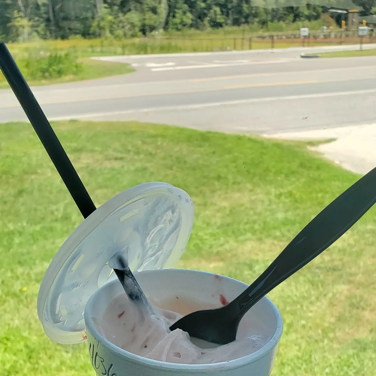 Strawberry Shake