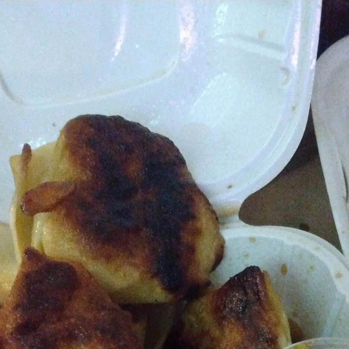 Burnt Pan Fried Wonton