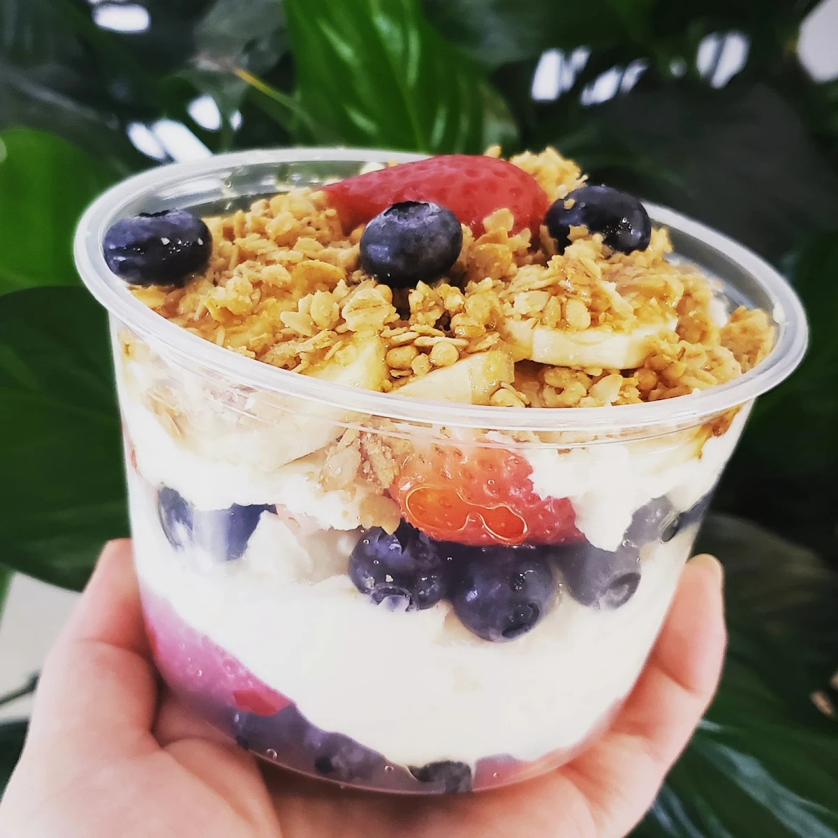 Yogurt Parfait